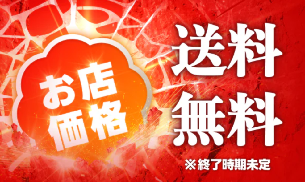 お店価格（送料無料）